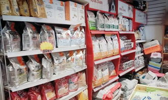 一站式寵物生活服務 美容、洗浴、配種與用品零售